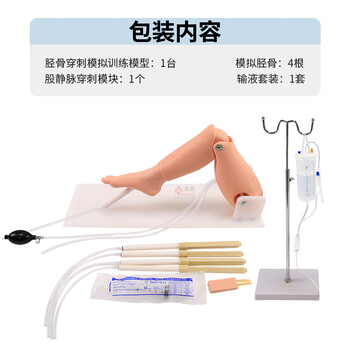 勤良胫骨穿刺训练模型 成人骨髓腔穿刺训练股静脉 穿刺输液训练模块 骨髓穿刺训练模块QL/L65A