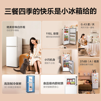 TCL 116升二级能效双开门两门二门养鲜冰箱小户型小型家用节能电冰箱租房118升级款R116L5-B