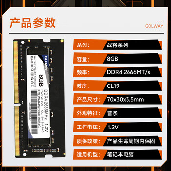 光威（Gloway）8GB DDR4 2666 笔记本内存条 战将 普条 精选颗粒 CL19