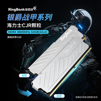 金百达（KINGBANK）64GB(32GBX2)套装 DDR4 3600 台式机内存条海力士原装CJR颗粒 银爵 C18