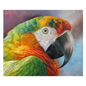 黄业灿《鹦鹉》当代实力派画家 写实精品  50*60cm