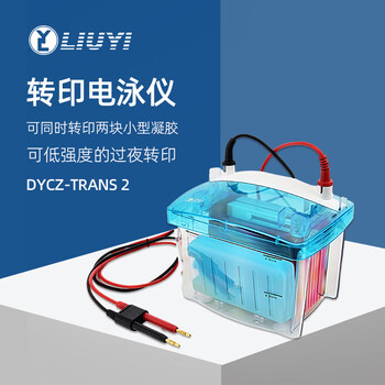 六一牌（LY） 转印电泳仪DYCZ-TRANS2 实验室凝胶蛋白电泳槽分子转印槽琼脂糖核酸生物电泳设备