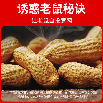 虫虫战队粘鼠板15张捕鼠折叠板加大加厚板三角形老鼠粘强力胶灭老鼠贴
