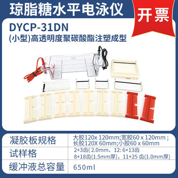 六一琼脂糖水平电泳仪DYCP-31DN电源凝胶实验室垂直电泳槽