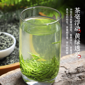 醉君怀茶叶 2026新茶明前嫩芽特级浓香毛尖绿茶自饮 袋装250g自己喝