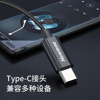 纽曼【TOP榜】XL13typec耳机线控有线音乐手机数字耳机type-c版入耳式磁吸耳头适用苹果华为等 铁灰色