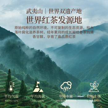 武夷朴金骏眉红茶叶礼盒装2026新茶特级高端午送礼物长辈领导父亲节250g