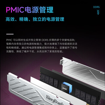 金百达（KINGBANK）32GB(16GBX2)套装 DDR5 6000 台式机内存条海力士M-die颗粒 银爵 C36 Deepseek硬件
