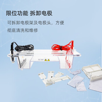 六一牌（LY） 琼脂糖水平电泳仪DYCP-31DN 实验室核酸电泳设备鉴定分离制备DNA电泳槽电泳设备