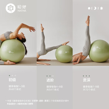 哈他瑜伽球孕妇助产防爆健身球儿童感统训练平衡弹力分区防滑大龙球