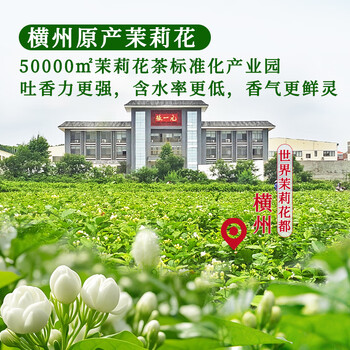 张一元茉莉花茶叶雪芽新春茶浓香型老北京特产伴手礼品送礼特种100g罐装