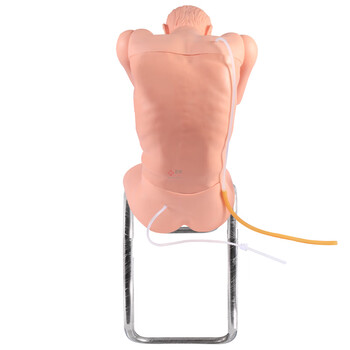 勤良胸腔(背部)穿刺训练模拟人模型 高级综合穿刺训练模拟人急救护理训练模拟人带语音提示系统 QL/CK812 勤良胸腔(背部)穿刺训练模拟人模型 高级综合穿刺训练模拟人急救护理训练模拟人带语音提示系统 QL/CK812