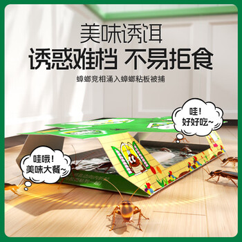 绿叶蟑螂屋蟑螂粘板10片家用蟑螂贴捕捉器2119ZZ