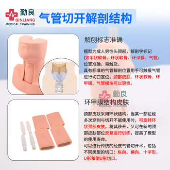 勤良高级环甲膜穿刺切开训练模型 模拟气管切开与环甲膜穿刺训练教学模型带环状软骨QL/J58