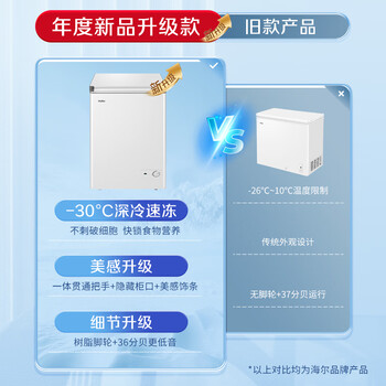 海尔(Haier)100升低霜小冰柜家用商用 冷藏柜冷冻柜两用冰柜京东自营小型冰箱小型冷柜BC/BD-100GHW9D 海尔(Haier)100升低霜小冰柜家用商用 冷藏柜冷冻柜两用冰柜京东自营小型冰箱小型冷柜BC/BD-100GHW9D