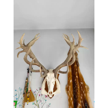 鹿頭 北歐鹿頭壁飾,裝飾品,擺飾,擺件,裝飾,樹,樹脂,工藝品,北歐風,賈