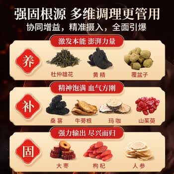同仁堂（TRT）人参黄精玛咖杜仲雄花男士五早泄用手过度亏虚养生八宝茶