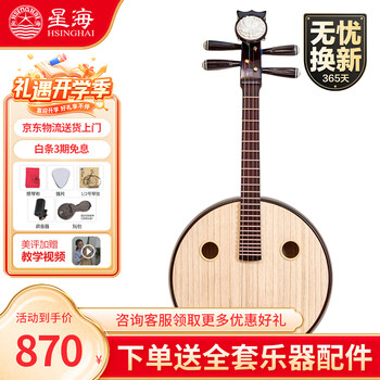 中国　中阮 乐海中阮乐器DWZ1 DWZ2 DWZ3 DWZ4徐阳阮族中阮钢品专业演奏中阮