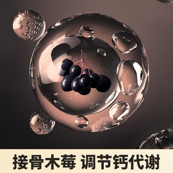 丙田 富硒黄瓜籽粉礼盒1400g 东北老旱黄瓜子 接骨木莓中老年代餐送礼