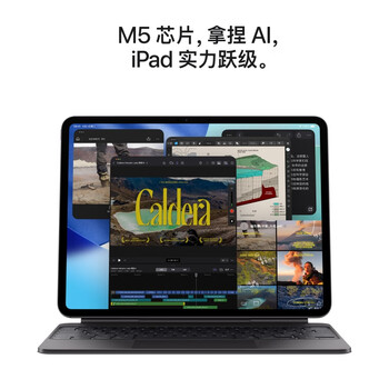 Apple/苹果 iPad Pro13英寸 M5芯片 2025年新款平板电脑 1T WLAN版 深空黑色 Apple/苹果 iPad Pro13英寸 M5芯片 2025年新款平板电脑 1T WLAN版 深空黑色