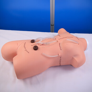 勤良高级外科缝合包扎练习模拟人模型高位低位包扎模型外科缝合包扎止血训练展示术前无菌术操作训练模型QL/LF5