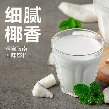 南国 醇香椰子粉450g/罐 海南特产代餐粉椰汁粉 营养早餐椰奶粉