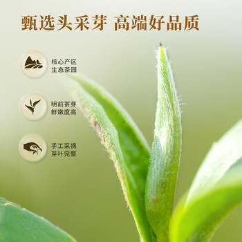 乐品乐茶十全十美礼盒装特级头采绿茶碧螺春新茶明前高端茶叶礼盒装500g