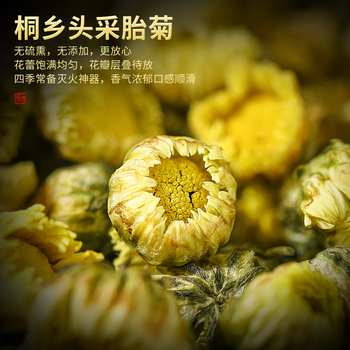 陈一凡 金银花胎菊花茶 精选新货泡水喝的花草茶凉茶 组合装茶叶50g+60g 陈一凡 金银花胎菊花茶 精选新货泡水喝的花草茶凉茶 组合装茶叶50g+60g