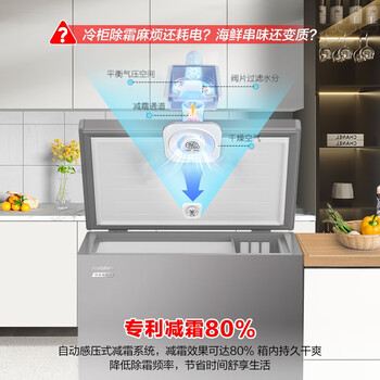 容声（Ronshen）200升冰柜家用一级能效减霜冷藏冷冻两用囤货小型冰柜母婴母乳小冰箱BD/BC-200ZMSA