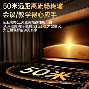 毕亚兹 Type-C无线投屏器 HDMI高清企业会议同屏器 适用手机笔记本电脑电视盒子连投影仪50米传输器