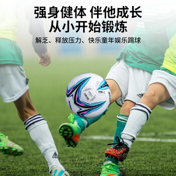 世达（star）足球4号儿童青少年成人软皮高弹机缝比赛训练标准用球SB8884C-07