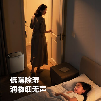 格力（GREE）【低噪小体积】除湿机/抽湿机家用除湿量12升/天单间参考面积24平24H定时除湿器DH12EN