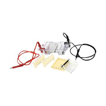 六一琼脂糖水平电泳仪DYCP-31BN电源凝胶实验室垂直电泳槽 六一琼脂糖水平电泳仪DYCP-31BN电源凝胶实验室垂直电泳槽