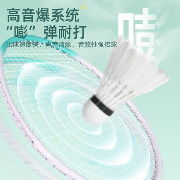 安踏(ANTA)羽毛球拍对拍铝合金深凹槽超轻耐打训练成人儿童学生羽拍621-3 安踏(ANTA)羽毛球拍对拍铝合金深凹槽超轻耐打训练成人儿童学生羽拍621-3