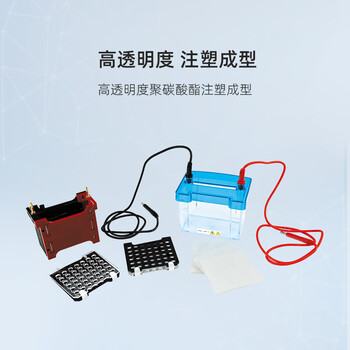 六一牌（LY） 转印电泳仪DYCZ-40D 迷你型实验室凝胶蛋白电泳槽分子转印槽琼脂糖核酸生物电泳设备