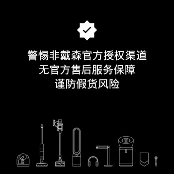 戴森DYSON TP09 空气净化风扇 净化循环二合一 整屋循环净化 除过敏原过滤花粉 宠物毛发 黑金色