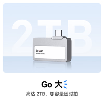 雷克沙（Lexar）2TB Type-c USB3.2 移动固态硬盘（PSSD) Professional GO 传输速度1050MB/s 直插手机  银色