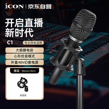 仙笛电容麦麦克风价格报价行情- 京东