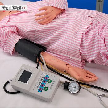 勤良高级多功能护理训练模拟人 老年护理技术训练模型(女性)血液测量 导尿穿刺 褥疮护理训练模型QL/H220B 勤良高级多功能护理训练模拟人 老年护理技术训练模型(女性)血液测量 导尿穿刺 褥疮护理训练模型QL/H220B