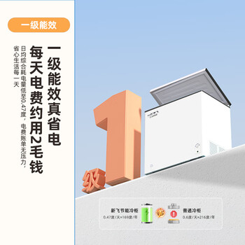 新飞(Frestec)141升单温冷柜 一级能效冷藏冷冻转换家用变温母乳小冰箱冰柜BC/BD-141HJ1EW 新飞(Frestec)141升单温冷柜 一级能效冷藏冷冻转换家用变温母乳小冰箱冰柜BC/BD-141HJ1EW