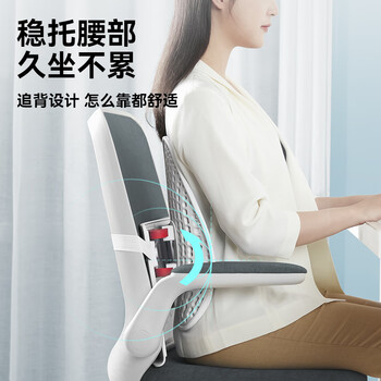 乐班人体工学腰靠垫腰靠腰托背靠 办公室腰部靠垫 清凉款 乐班人体工学腰靠垫腰靠腰托背靠 办公室腰部靠垫 清凉款