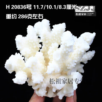 天然白珊瑚价格报价行情- 京东