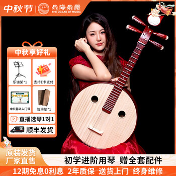 乐海中阮价格报价行情- 京东