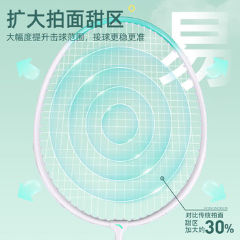 安踏(ANTA)羽毛球拍对拍铝合金深凹槽超轻耐打训练成人儿童学生羽拍621-3 安踏(ANTA)羽毛球拍对拍铝合金深凹槽超轻耐打训练成人儿童学生羽拍621-3