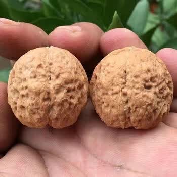 铁蛤蟆核桃文玩品牌及商品- 京东