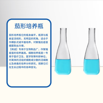 化科 实验室用 透明茄形培养瓶 扁形培养瓶 微生物培养瓶 透气细胞培养瓶  茄形培养瓶500ml（6个）