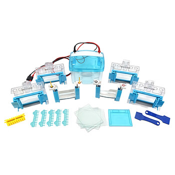 六一牌 四板垂直电泳仪DYCZ-MINI4 实验室制备分析鉴定DNA及测定分子电泳仪