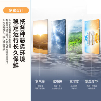 新飞(Frestec)300L全空间减霜-36°深冷速冻家用一级节能冷柜冷藏冷冻转化冰柜BC/BD-300KPDJ 新飞(Frestec)300L全空间减霜-36°深冷速冻家用一级节能冷柜冷藏冷冻转化冰柜BC/BD-300KPDJ