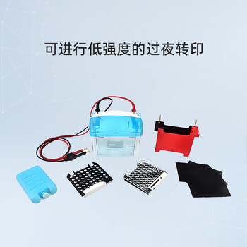 六一牌（LY） 转印电泳仪DYCZ-TRANS2 实验室凝胶蛋白电泳槽分子转印槽琼脂糖核酸生物电泳设备