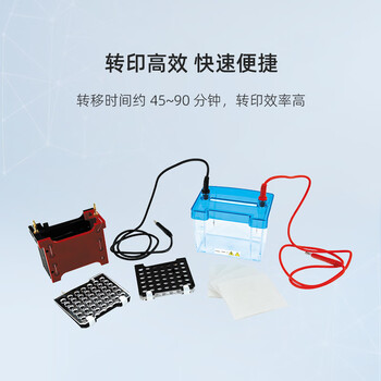 六一牌（LY） 转印电泳仪DYCZ-40D 迷你型实验室凝胶蛋白电泳槽分子转印槽琼脂糖核酸生物电泳设备